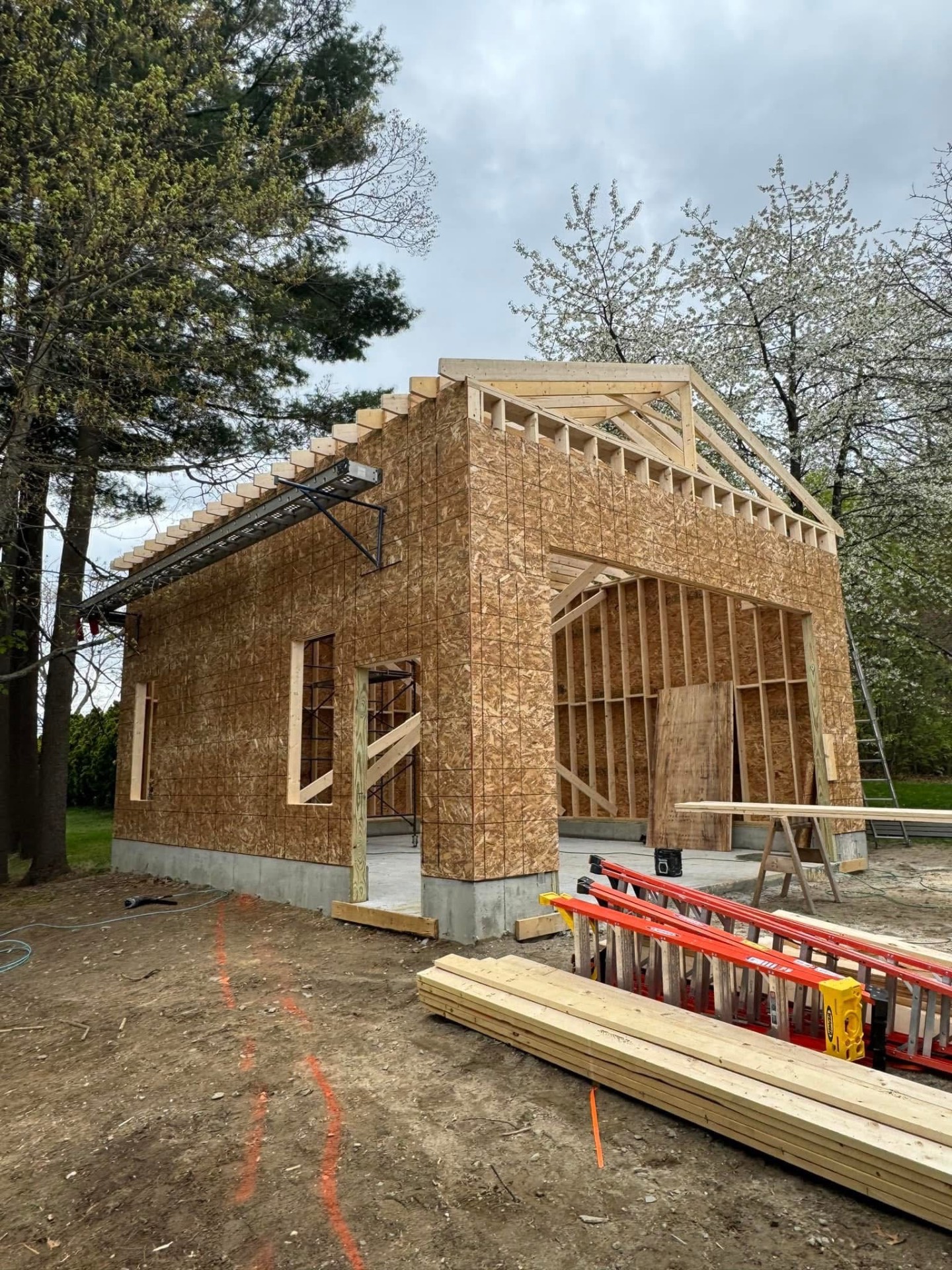 Exterior framing — sheathed walls and stick-built gable roof framing taking shape.